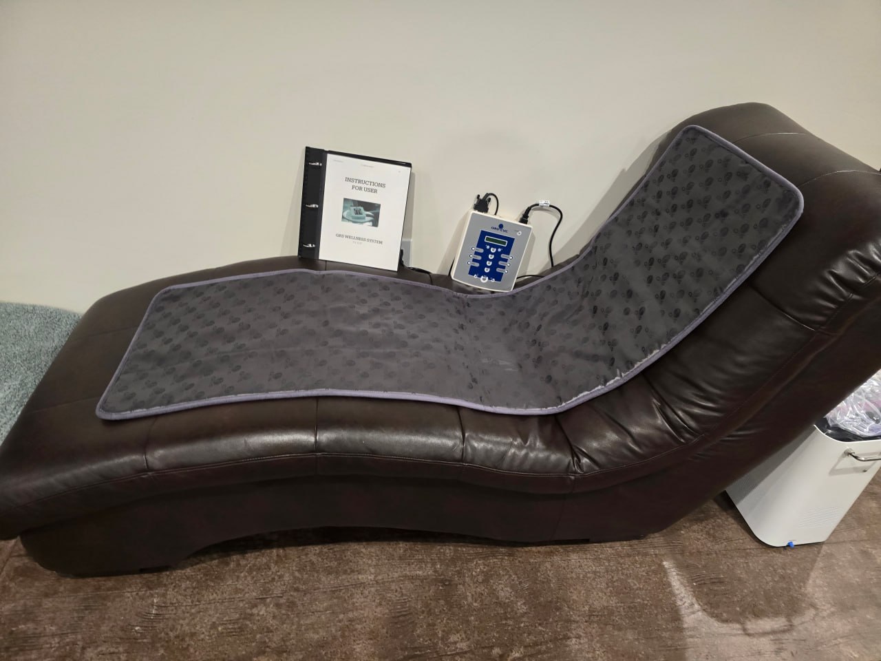 Pulsed Electromagnetic Field (PEMF) Therapy